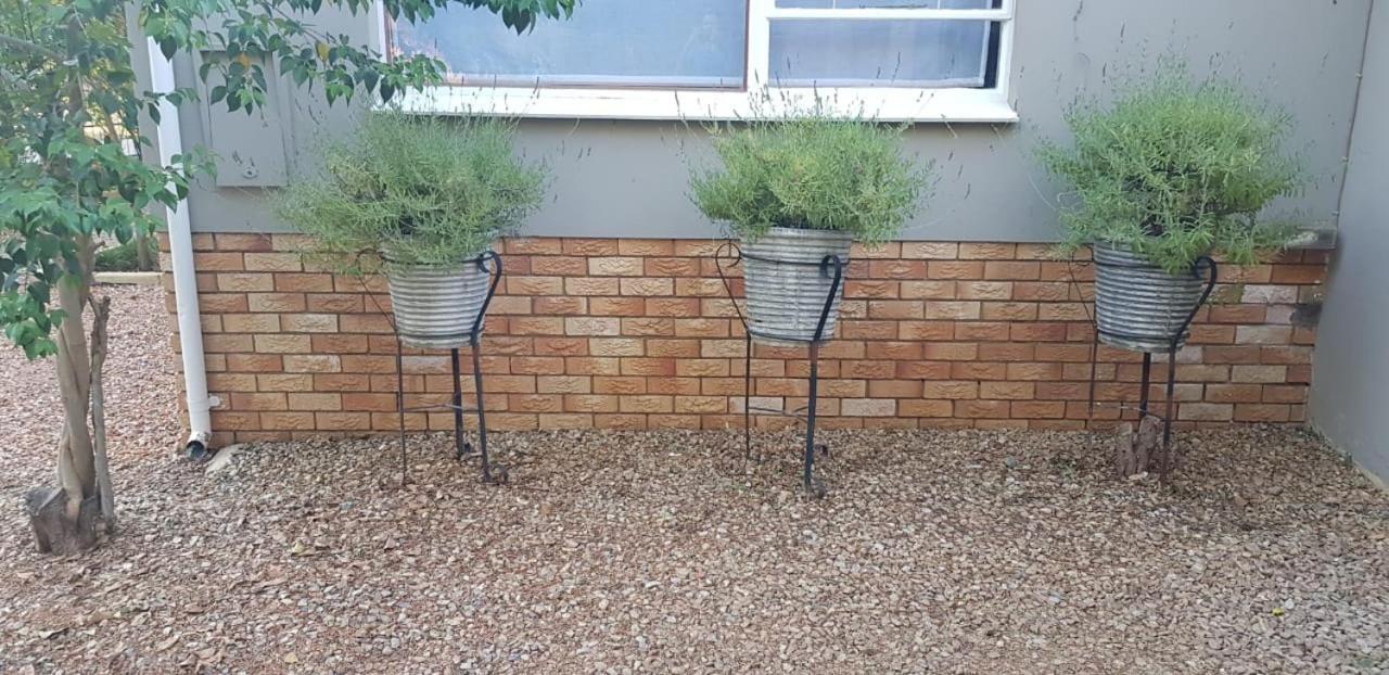 Mulberry Place Cradock Dış mekan fotoğraf